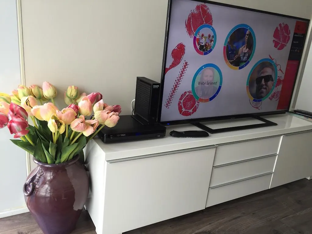 A&A Suites In The Heart Of Downtown Toronto Apartment